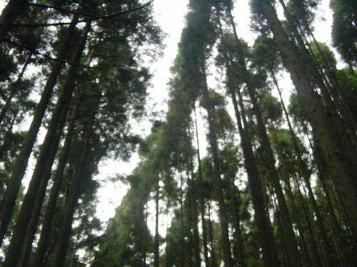 Dsc02492